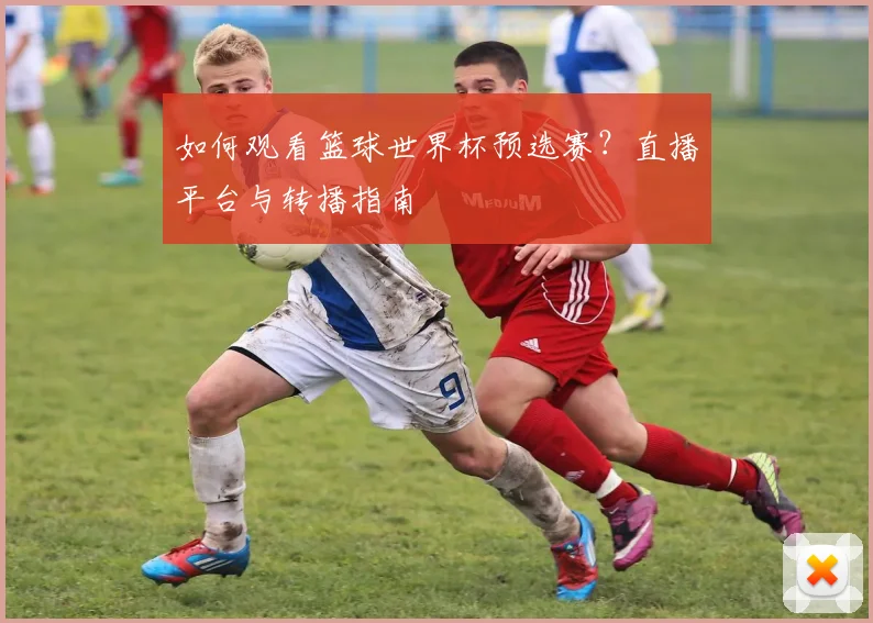 如何观看篮球世界杯预选赛？直播平台与转播指南